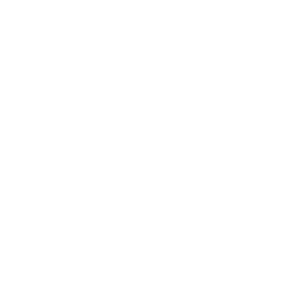 NAEA_logo
